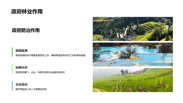 林业害虫治理新篇章