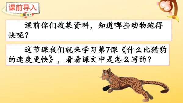 7 什么比猎豹的速度更快    课件