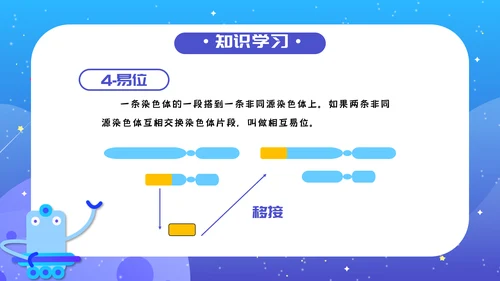 人教版生物《染色体变异》PPT课件