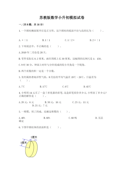 苏教版数学小升初模拟试卷（精选题）.docx