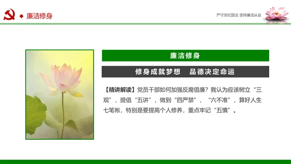 廉洁从业从政从严治党教育PPT课件模板