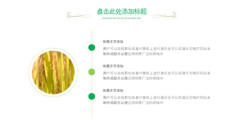 乡村振兴新农村旅游稻田水稻农业丰收PPT