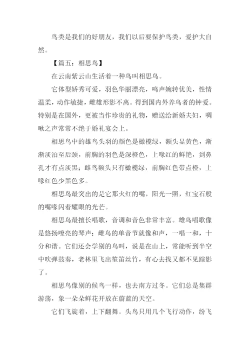 写一种鸟的作文.docx