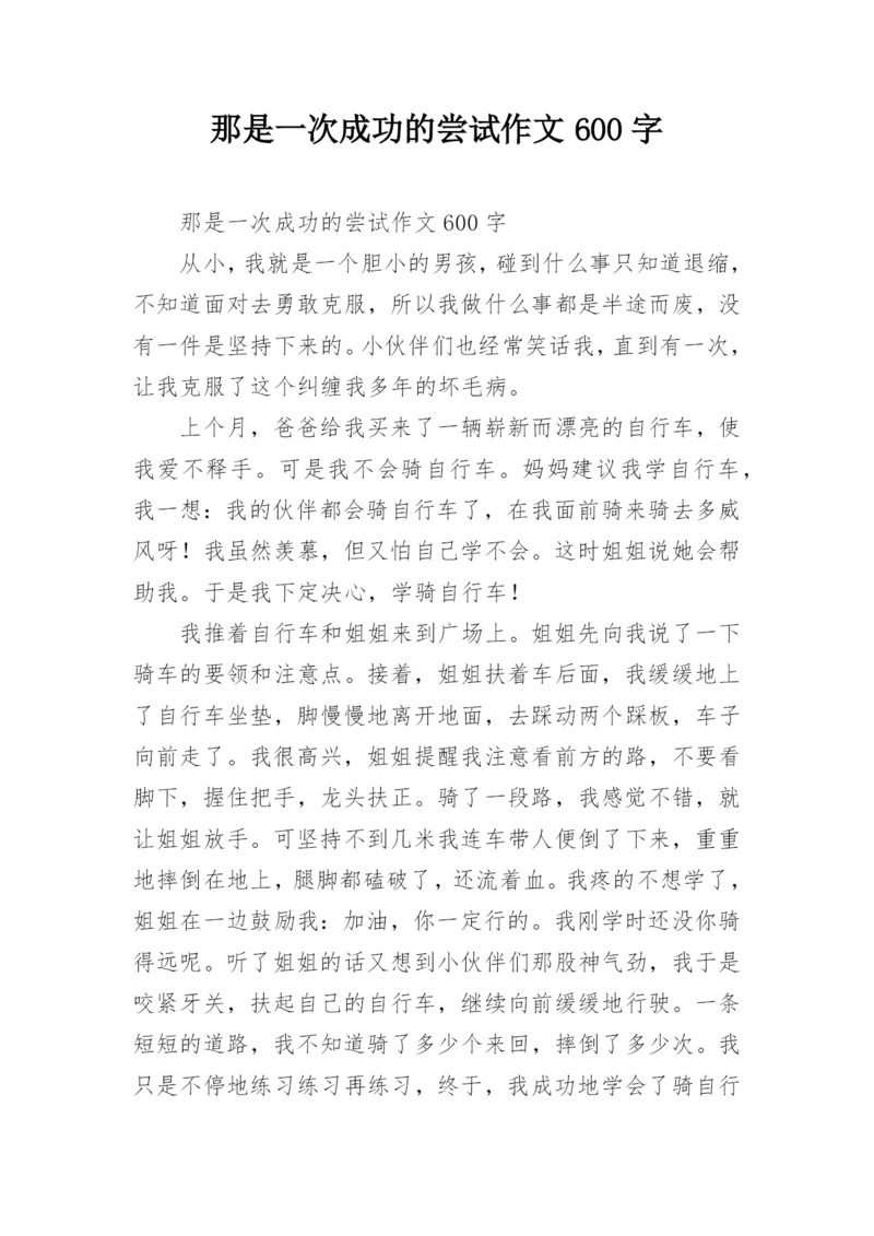 那是一次成功的尝试作文600字.docx