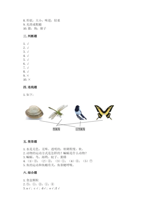 教科版一年级下册科学期末测试卷【综合卷】.docx
