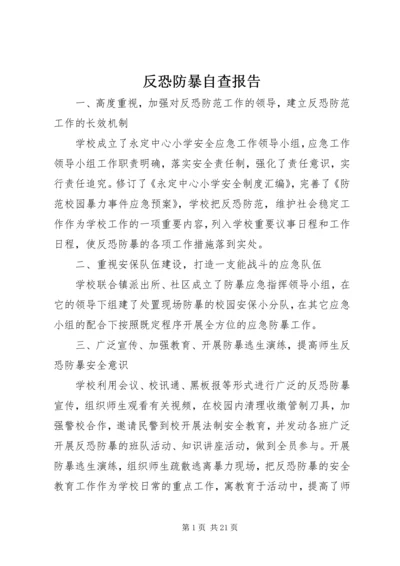 反恐防暴自查报告.docx