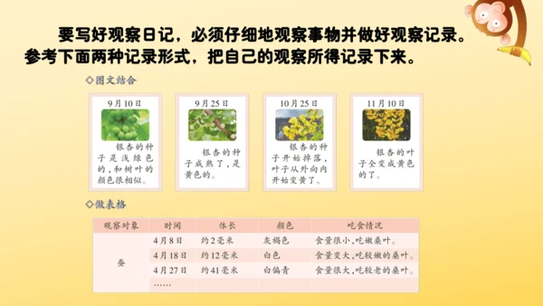 10 爬山虎的脚   课件