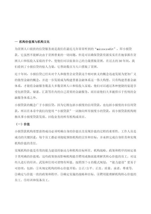 小额贷款机构的信贷风险管理-内部控制和欺诈防范.docx