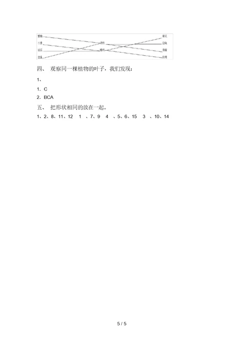 新教科版一年级科学上册期中考试卷(全面)