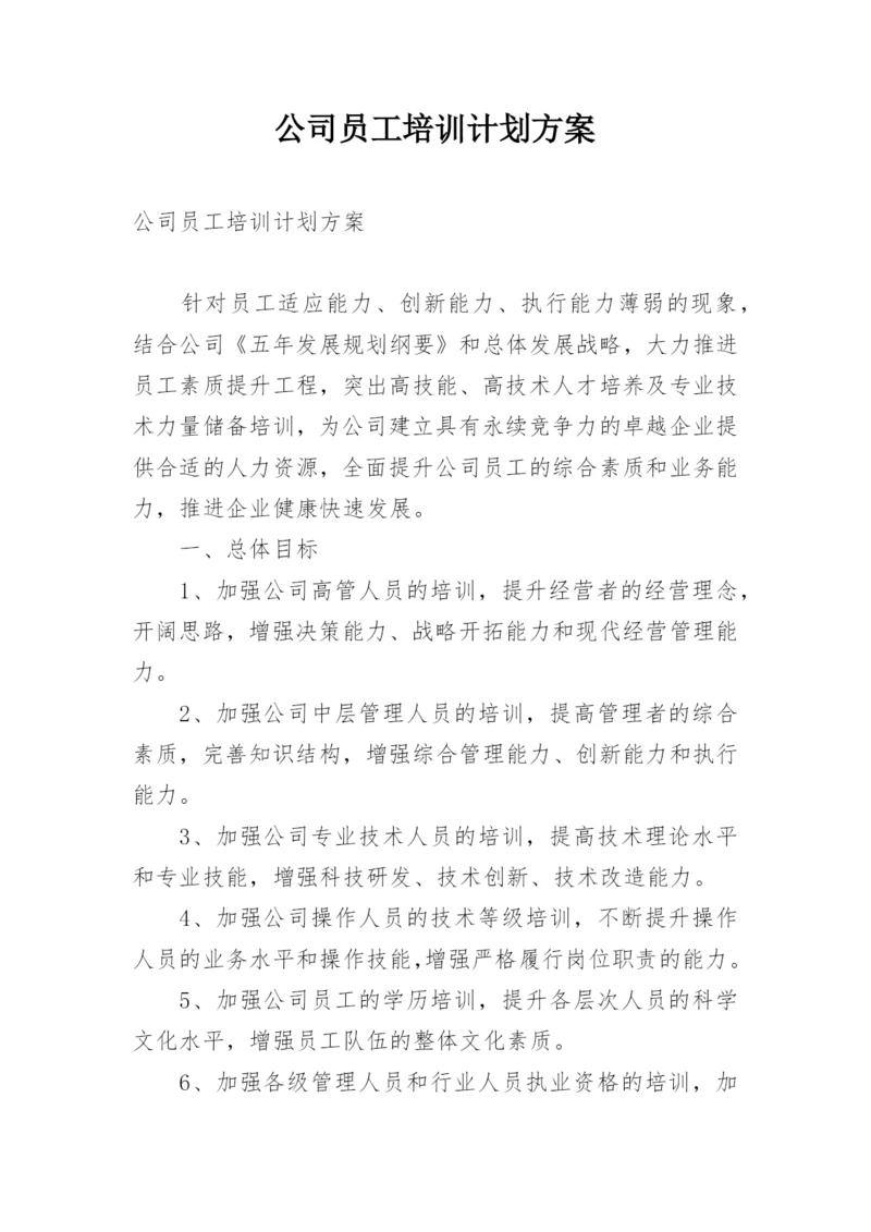 公司员工培训计划方案.docx