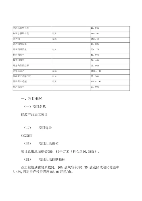 能源产品加工项目投资可行性报告参考模板