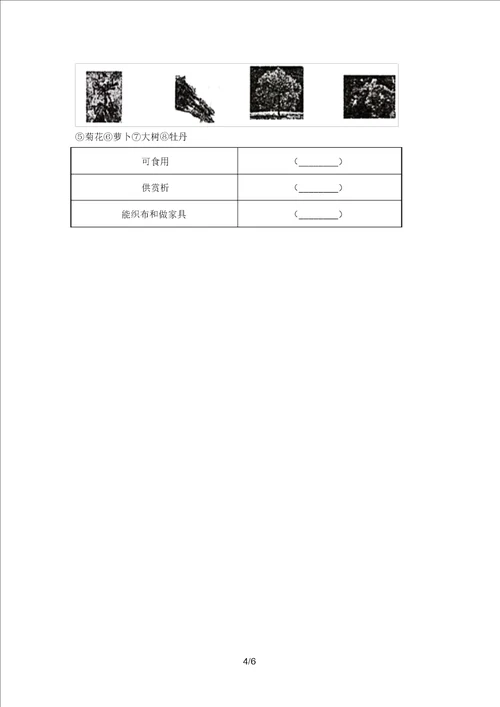 苏教版一年级科学上册期中模拟考试参考答案