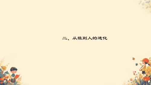 4.1.1人的起源和发展课件(共17张PPT)人教版七年级下册