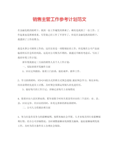 精编销售主管工作参考计划范文.docx