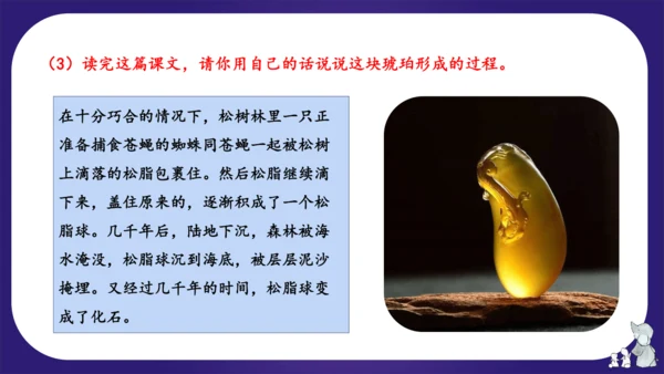 统编版四年级语文下学期期中核心考点集训第二单元（复习课件）