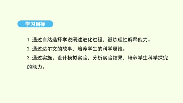 7.3.3生物进化的原因课件-人教版生物八年级下册(共37张PPT)