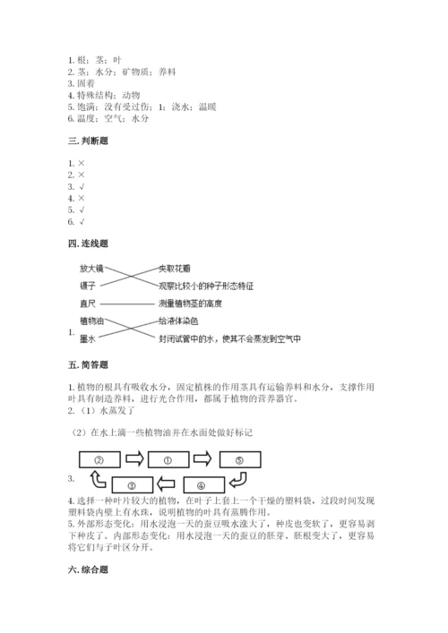 教科版四年级下册科学第一单元《植物的生长变化》测试卷【名校卷】.docx