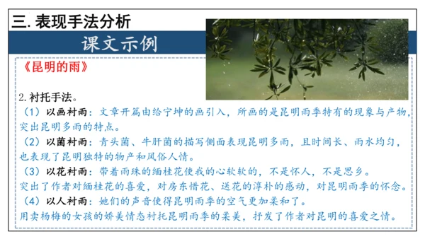 专题06 散文阅读【考点串讲】-2023-2024学年八年级语文上学期期末考点大串讲（统编版）(共3