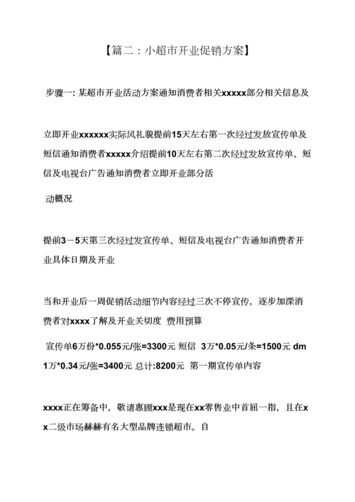 小超市开业活动专项方案.docx