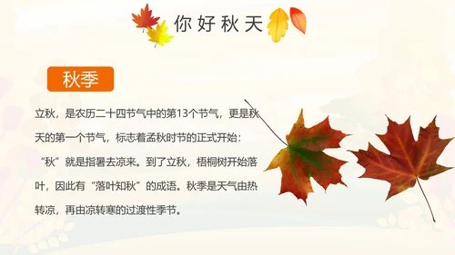秋天来了银杏树旅游日记秋风季动态PPT