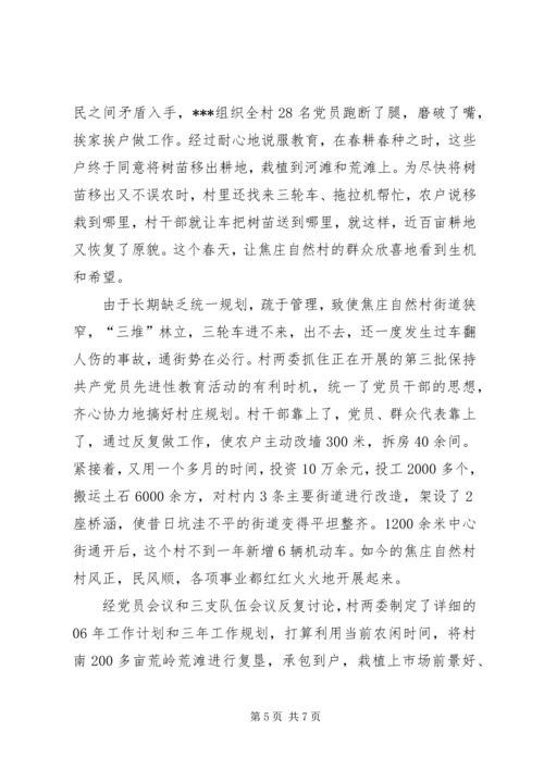 新农村建设妇女农村党支部书记先进事迹材料.docx