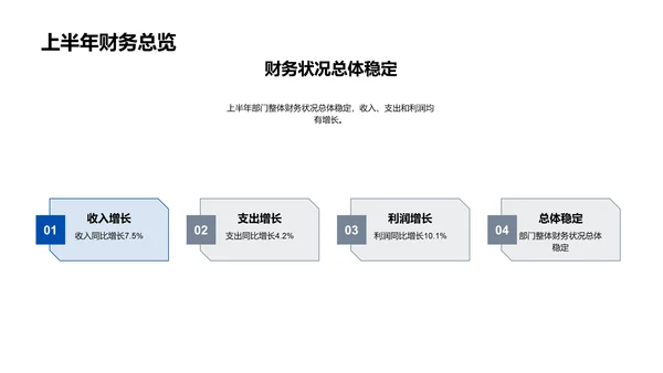 年中财务总结报告