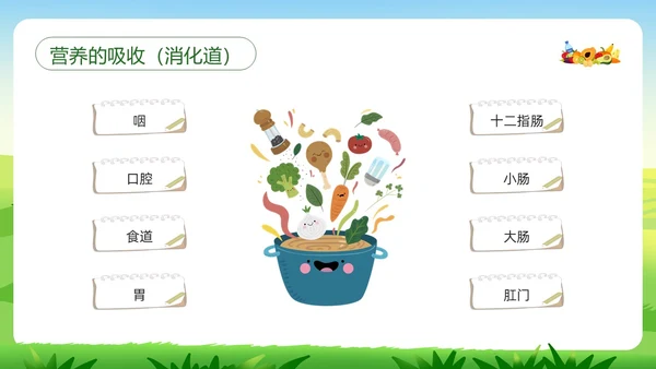 绿色插画合理营养与食品安全PPT模板宣传PPT动态PPT全民营养周