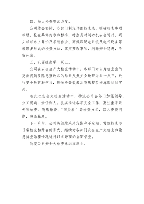 物流公司安全生产大检查活动总结.docx