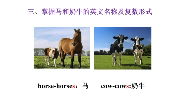 Unit 6  Would you like to take a trip? 单元知识梳理（单词+句