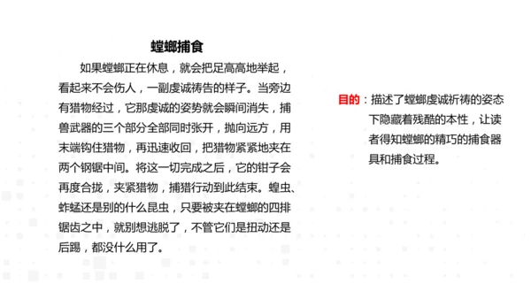 八年级语文上册 第五单元名著导读《昆虫记》课件