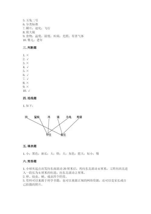 教科版三年级下册科学期末测试卷（精华版）.docx