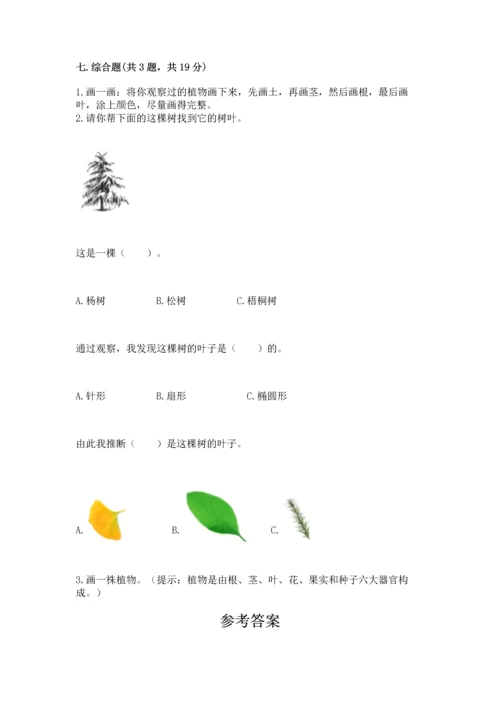 教科版科学一年级上册第一单元《植物》测试卷及答案【网校专用】.docx
