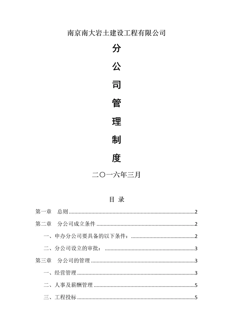 分公司管理制度.docx