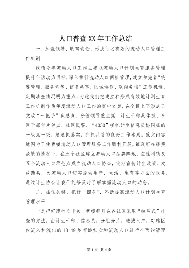 人口普查某年工作总结.docx