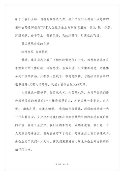 2022员工感恩企业的文章.docx