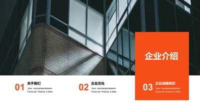 单色扁平3项企业介绍