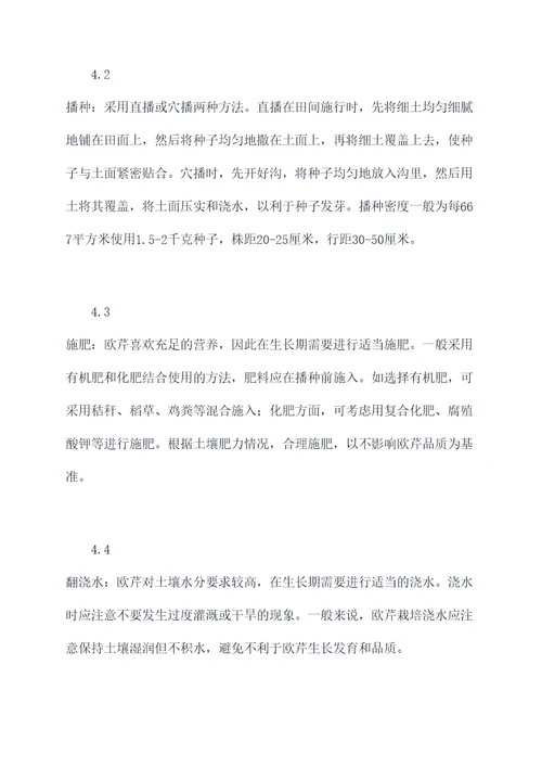 欧芹栽培技术规程