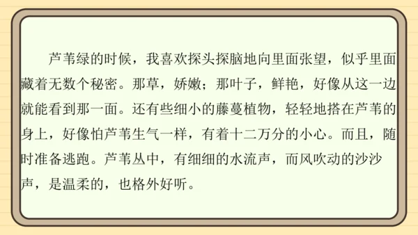 统编版语文四年级上册主题四　最美乡村 阅读与写作指导课件