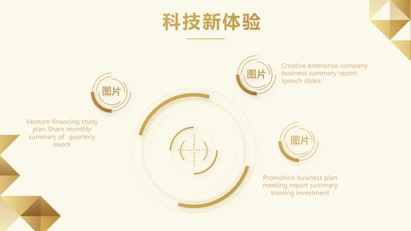 尊贵大气创业融资计划书动态PPT