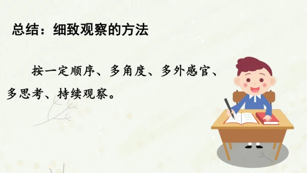 统编版三上第五单元 习作例文：我爱故乡的杨梅   课件