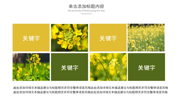 春天乡村旅游油菜花风景油菜花田PPT模板