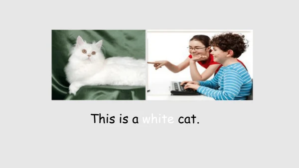外研版（一起）一上Module 5  Unit 2 This is a yellow cat 同步备