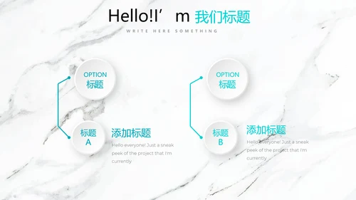 公司产品介绍宣传通用PPT动态模板
