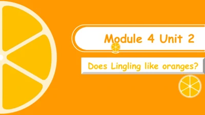 Module 4 Unit 2 Does Lingling like oranges 课件 (共36