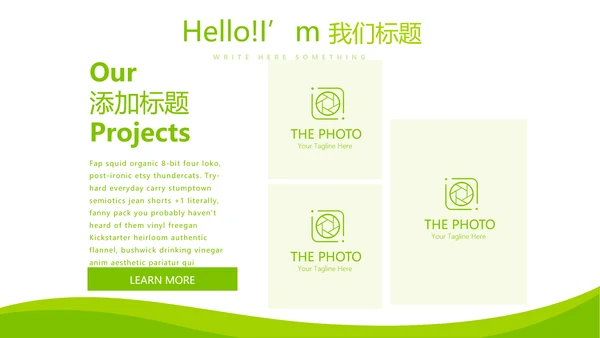 绿色清新大气医药代表工作汇报动态PPT