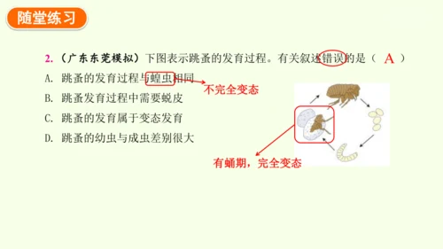 7.1.2昆虫的生殖和发育-八年级生物人教版下学期同步精品课件(共29张PPT)