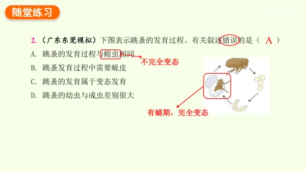 7.1.2昆虫的生殖和发育-八年级生物人教版下学期同步精品课件(共29张PPT)