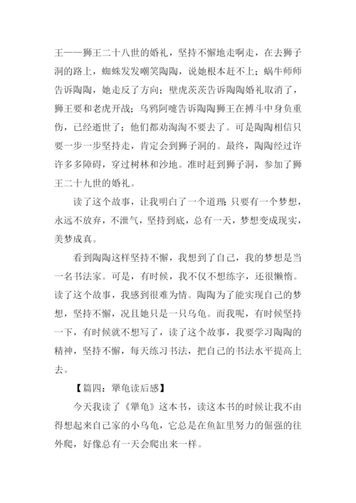 犟龟读后感400字.docx