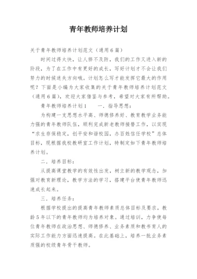 青年教师培养计划.docx