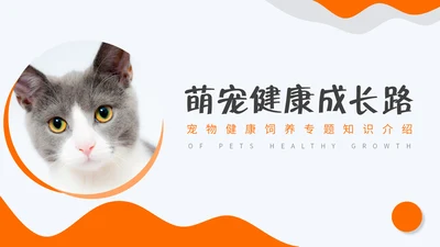 宠物健康饲养专题介绍通用PPT模板